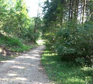 Premiumwanderweg "hochgesprudelt"