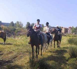 Reiten im Gelände / Sonnenstrand