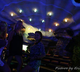 Muschel im unteren bereich