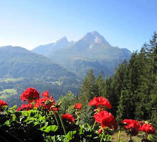 Ausblick zum Watzmann