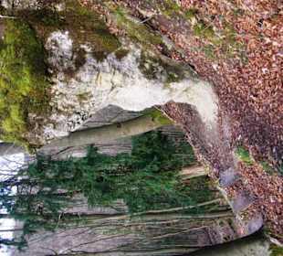 Aufstieg vom Weg her gut
