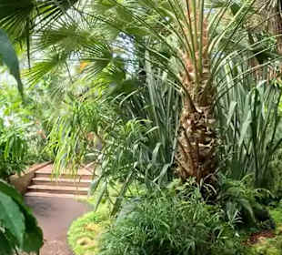 Flora und Botanischer Garten Köln