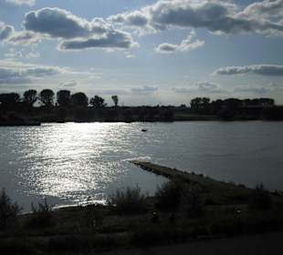 Rheinpromenade im Neulandpark