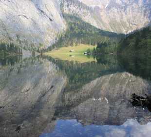 Obersee