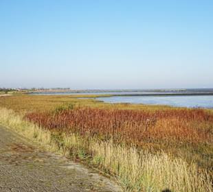 Vorland am Strand von Burhave