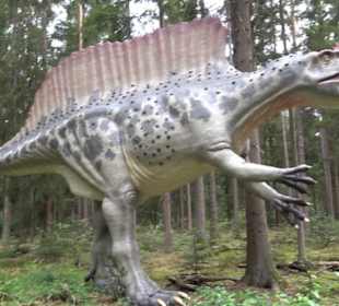 Dinosaurier Museum Altmühltal