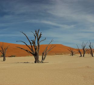 Dead Vlei