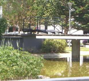 Kleiner Teich