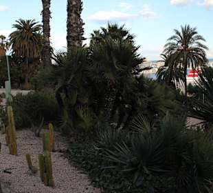 Jardins de Costa i Llobera