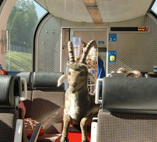 Bernina Express 