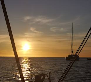 Delfintour Morro Jable