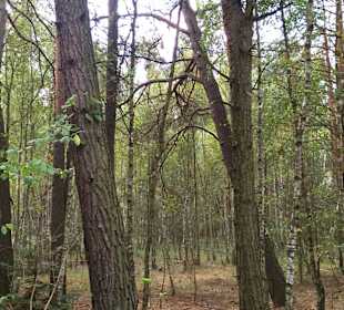 Kampinoski Park Narodowy