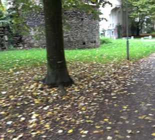 Östlicher Wehrturm Schussenstraße