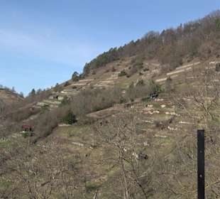 Hirschauer Spitzbergwegle (Premiumspazierwanderweg