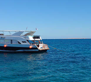 Blue Waves - Sea Trips