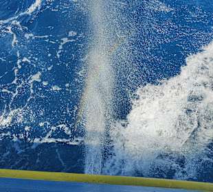 Glasbodenboot Tour Hurghada