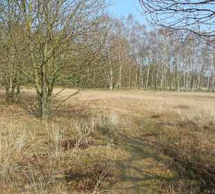 Wunderschöne Boberger Niederung