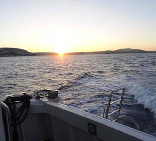 Rückfahrt nach Malta