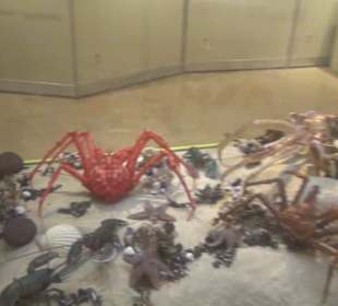 Naturkundemuseum