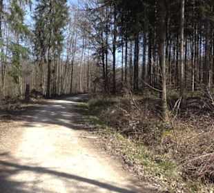 Premiumwanderweg "hochgeblickt"