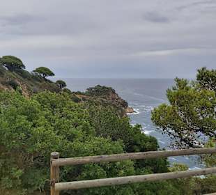 FKK Strand Cala Sa Futadera