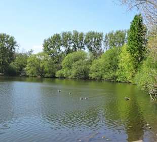 Impressionen vom Ölpersee