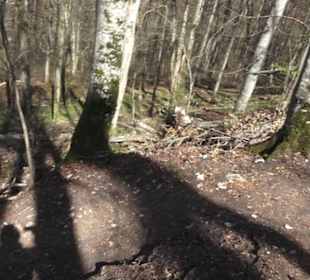 Wanderweg Hochgehkämpft