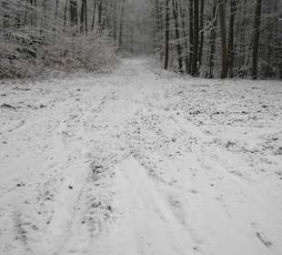 W drodzę na Ślężę