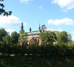 Widok ogólny