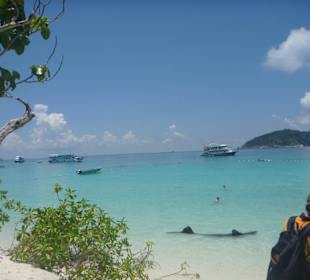 Similan Islands 1