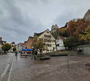 Brunnen des Altertum in Meersburg