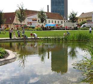 Das ist etwas für die Kinder ... Enten und Fische