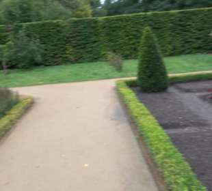 Englischer Garten