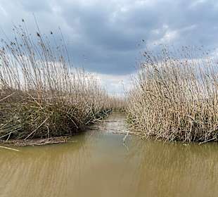 Naturpark S'Albufera