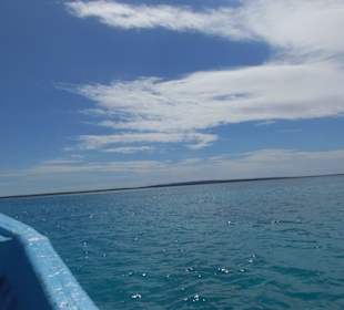 Bahia de las Aguilas