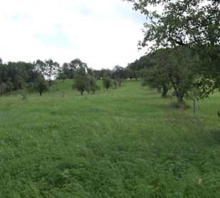 Hochgehnießen - Premiumspazierwanderweg