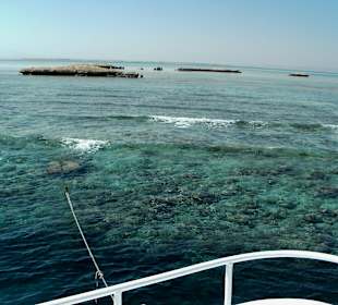 Traumhaftes Riff und ganz viele Fische