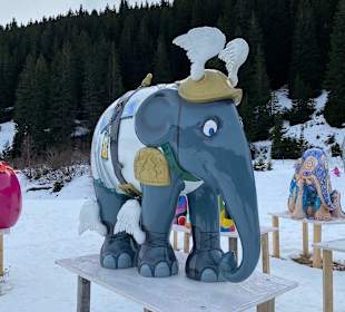 Wandern Flims