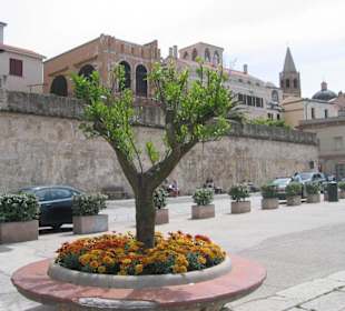 Blick auf die Altstadt vom Hafen aus