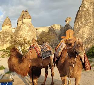 Feenkamine Kappadokien