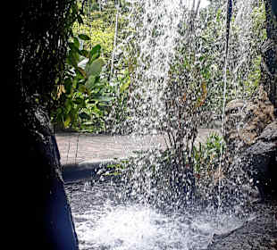Botanischer Garten