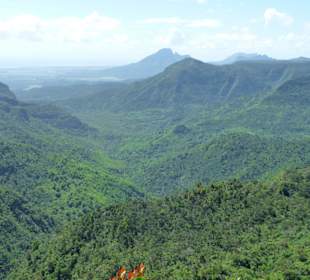 Black River Gorges NP