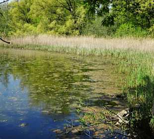 Rundgang durch das Naturschutzgebiet Riddagshausen