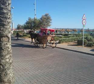 Kutschfahrt