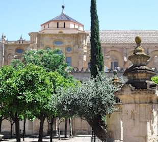 Patio de los Naran jas
