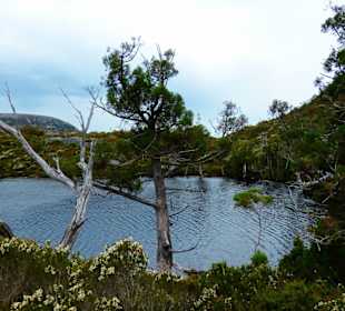 Cradle Mountain-Lake St.Clair NP - Lake Lilla