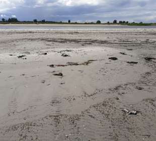 Grüner Brink in Fehmarn