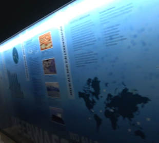 Tierpark Hellabrunn - Fische