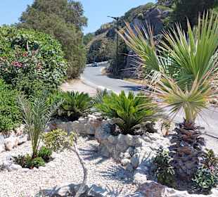 Wandern Rhodos Stadt