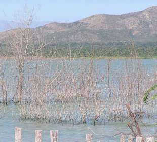 Der Lago Enriquillo